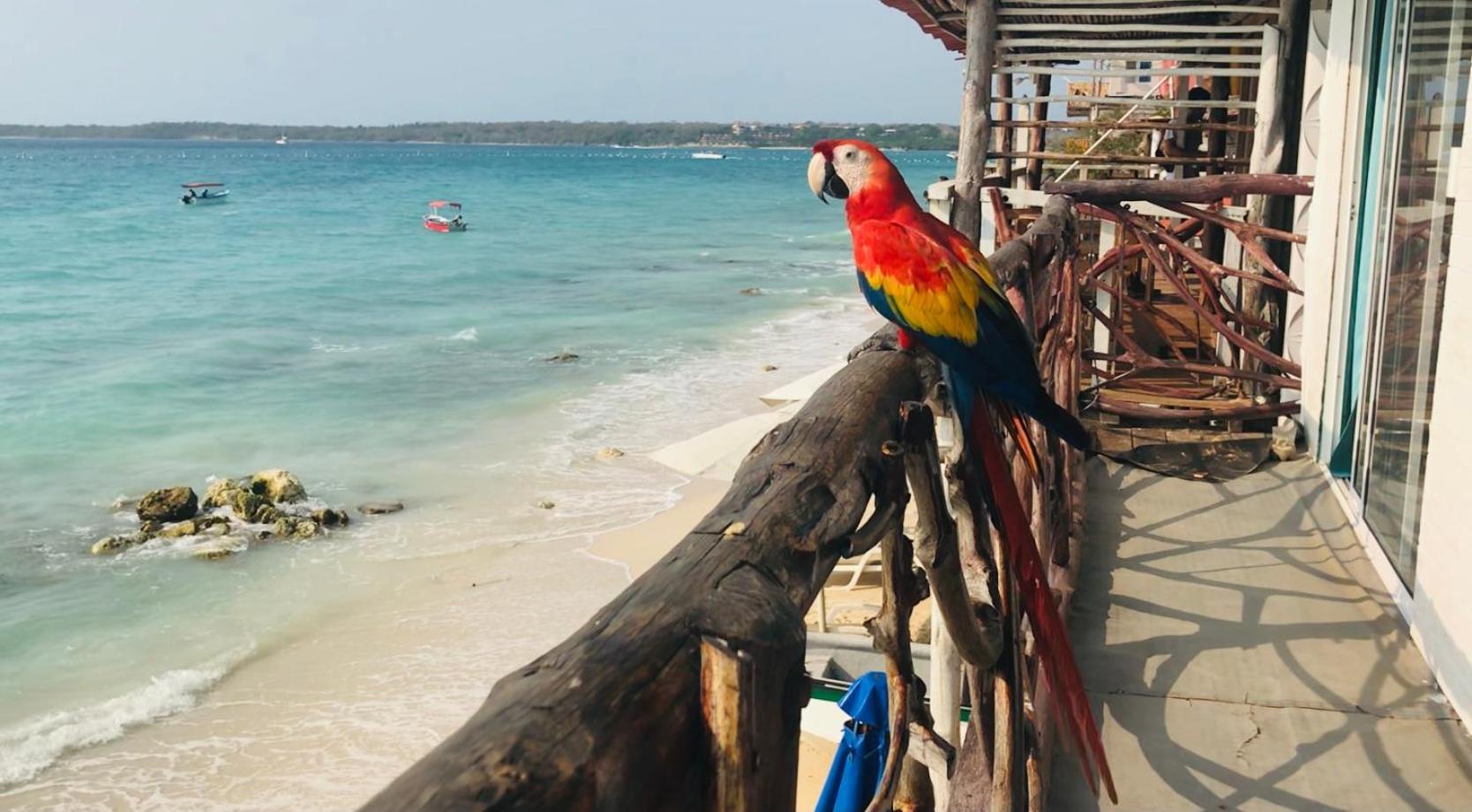 Hostal Lamar Baru Donde Gertrudis Playa Blanca Eksteriør billede