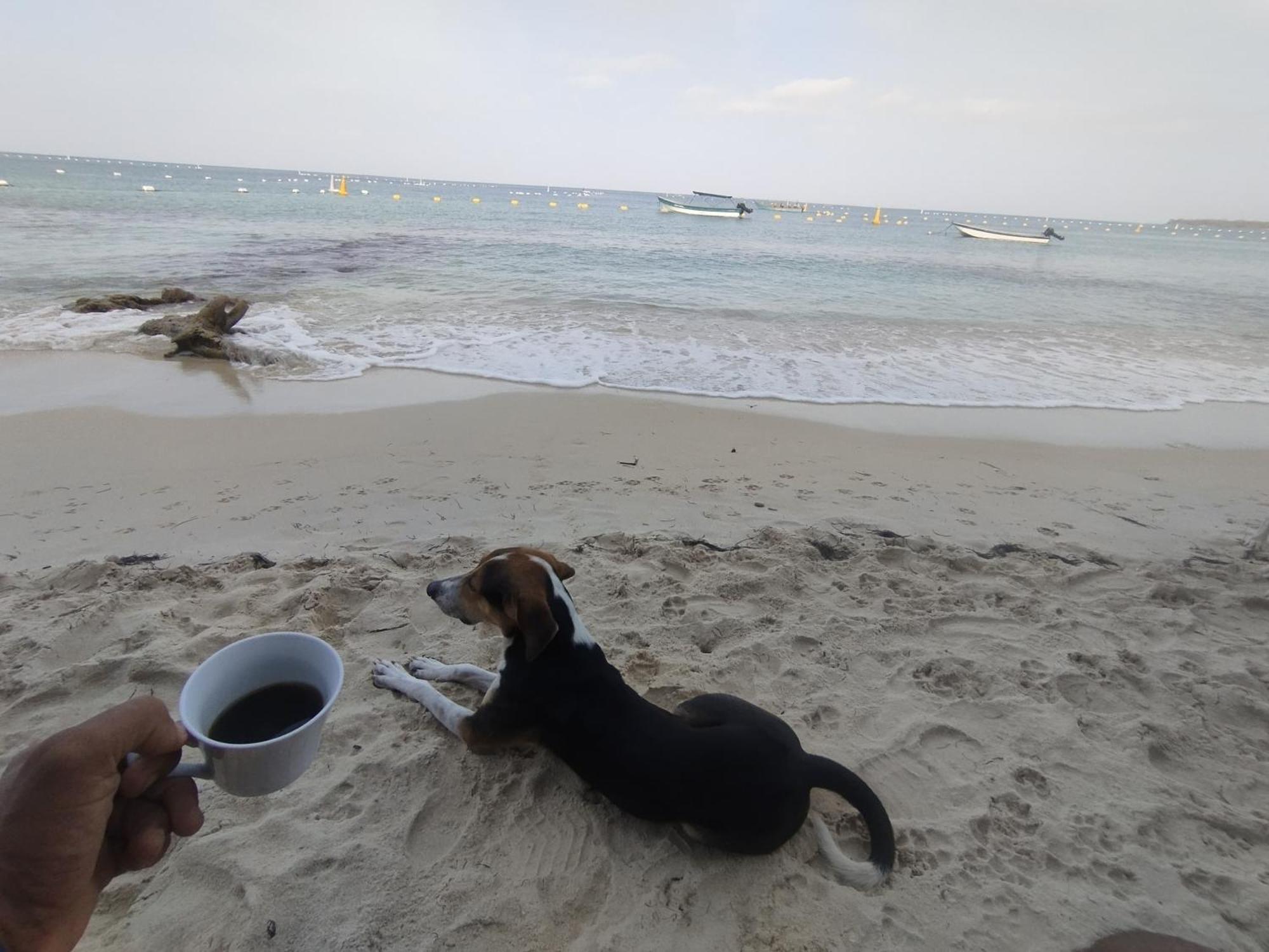 Hostal Lamar Baru Donde Gertrudis Playa Blanca Eksteriør billede